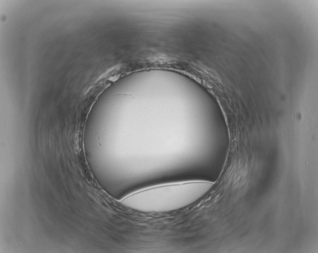 X0000082171205200701191012