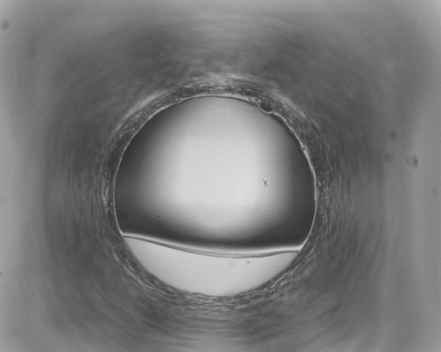 X0000082171206200701191012