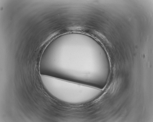 X0000082171209200701191012