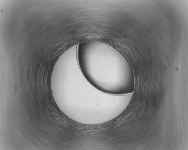 X0000082171250200701191012