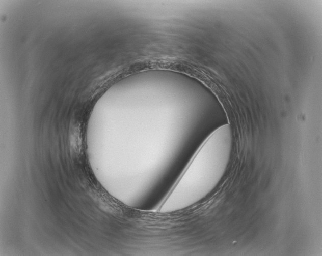 X0000082171252200701191012