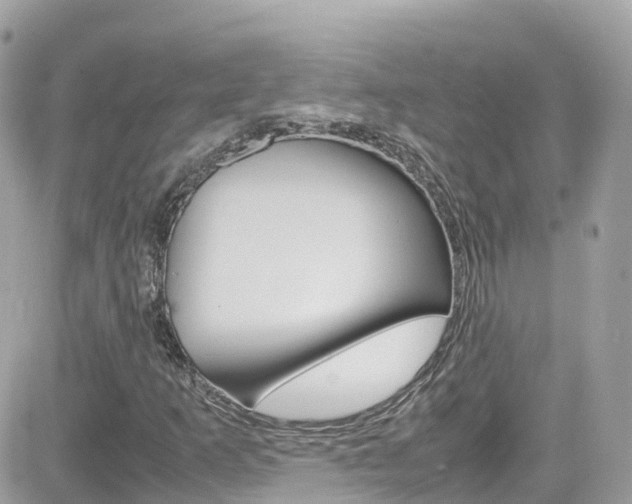 X0000082171253200701191012