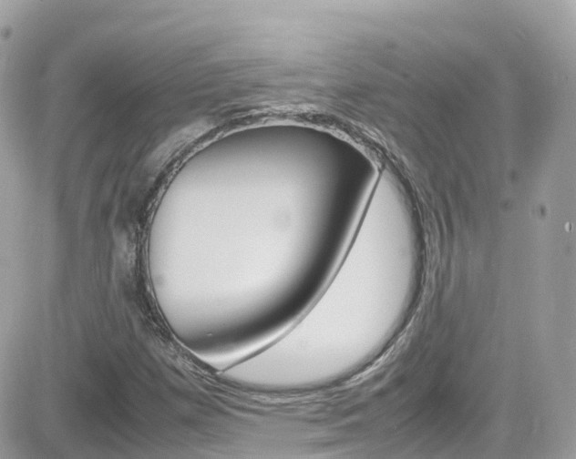 X0000082171257200701191011