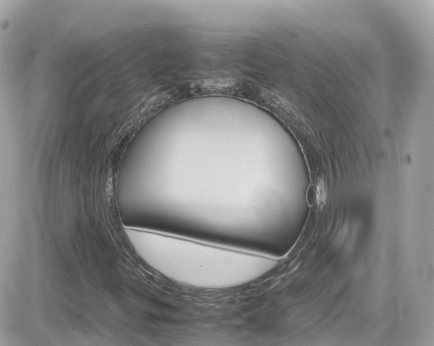 X0000082171299200701191010