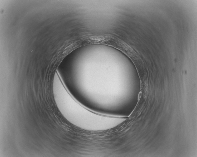 X0000082171394200701191009