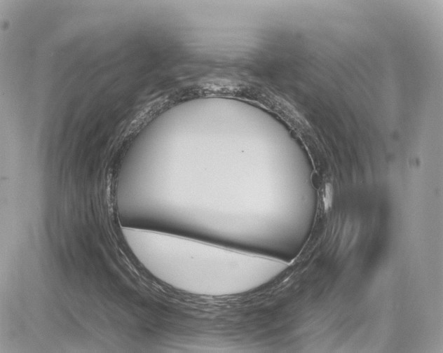 X0000082171396200701191009