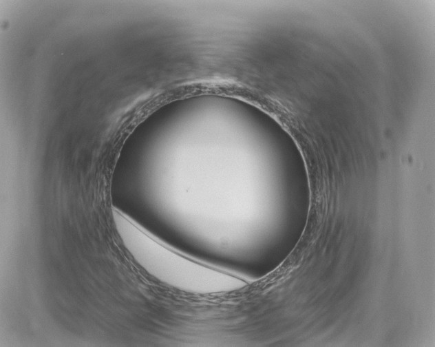X0000082171398200701191009