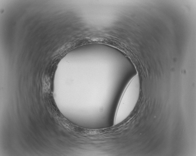 X0000082171443200701191008