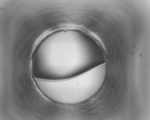 X0000082171472200701191008