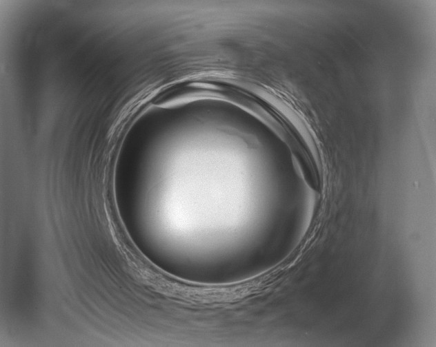 X0000082170001200701191319