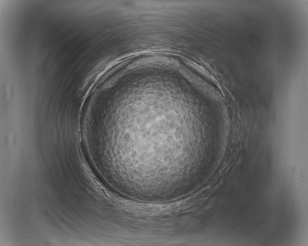 X0000082170002200701191319