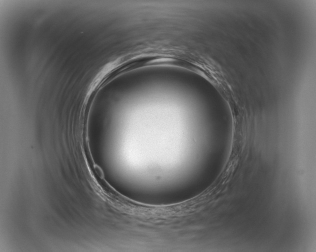 X0000082170003200701191319