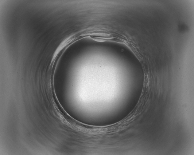 X0000082170004200701191319