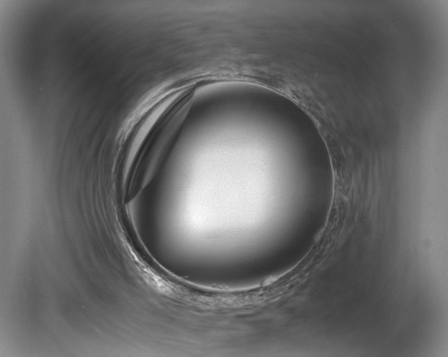 X0000082170005200701191319