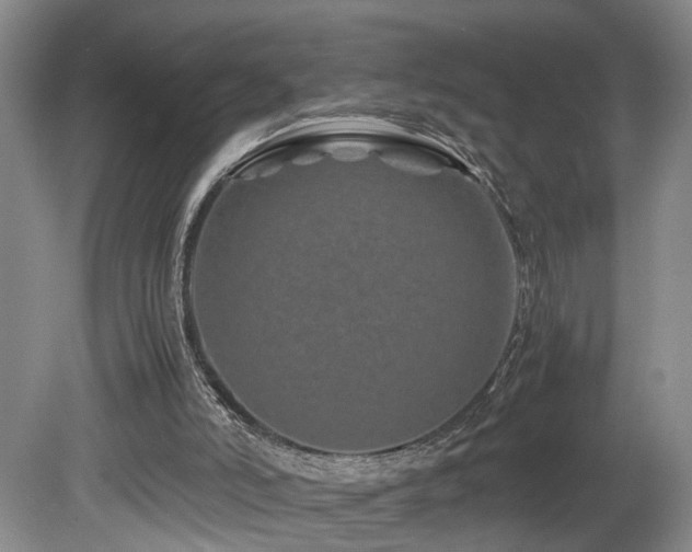 X0000082170006200701191319