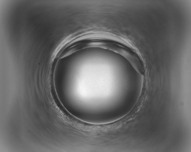 X0000082170007200701191319