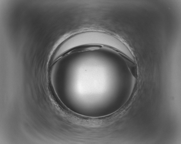 X0000082170008200701191319