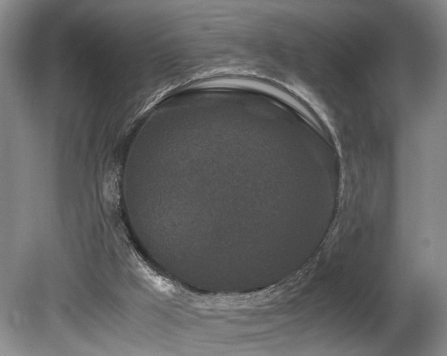 X0000082170009200701191319