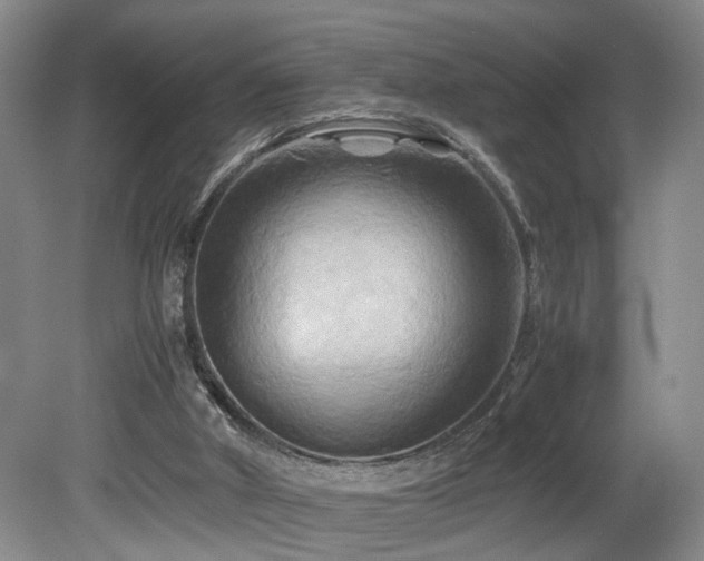 X0000082170010200701191319