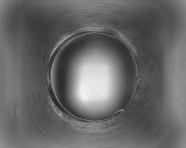 X0000082170011200701191319