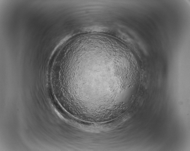 X0000082170012200701191319
