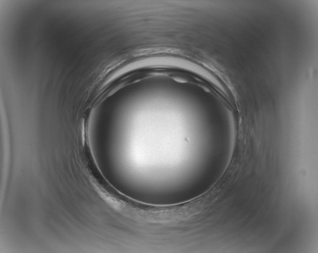 X0000082170013200701191319