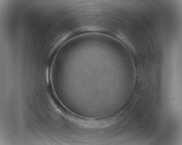 X0000082170014200701191319