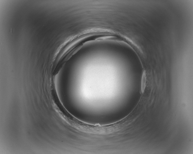 X0000082170015200701191319