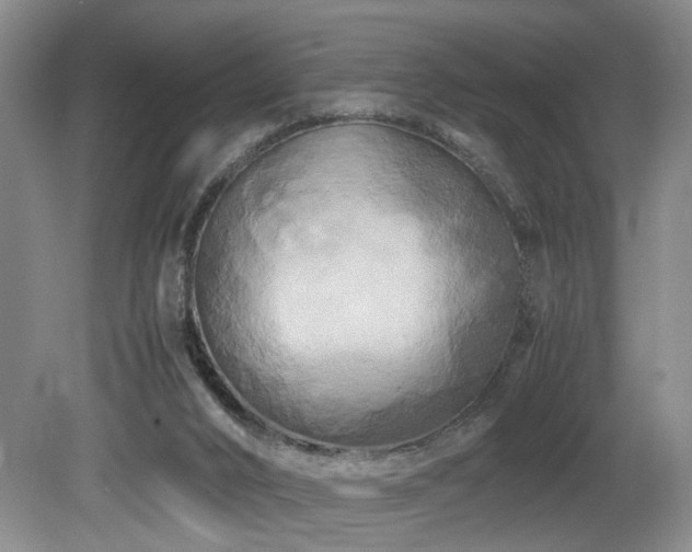 X0000082170016200701191319