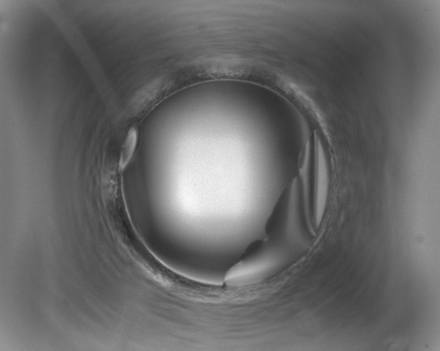 X0000082170017200701191319