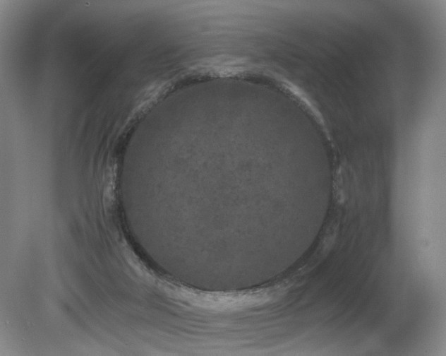 X0000082170018200701191319