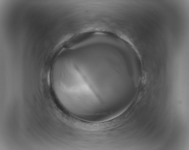 X0000082170019200701191319