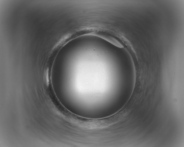 X0000082170020200701191319