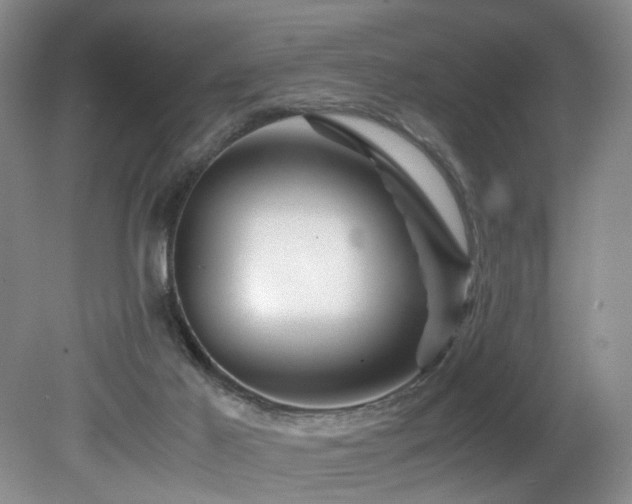 X0000082170021200701191319