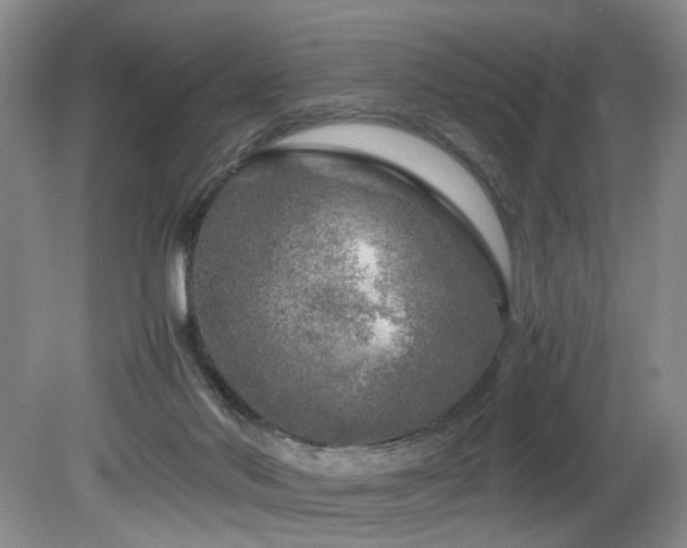 X0000082170022200701191319