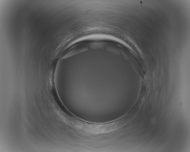 X0000082170023200701191319