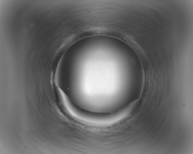 X0000082170024200701191319