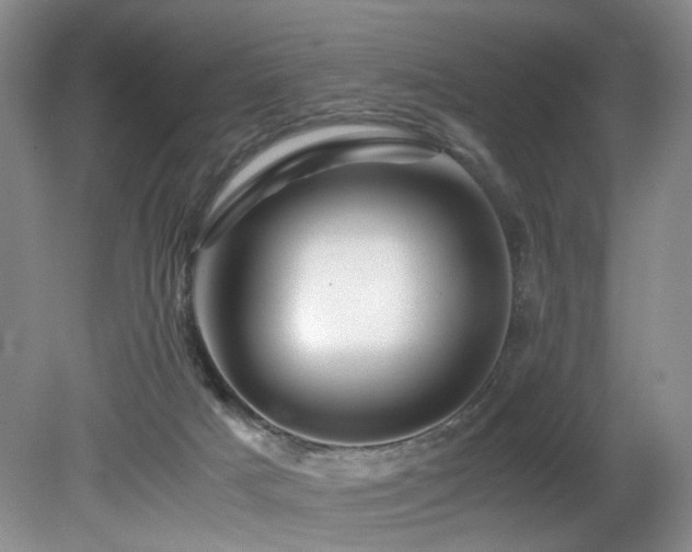 X0000082170025200701191319