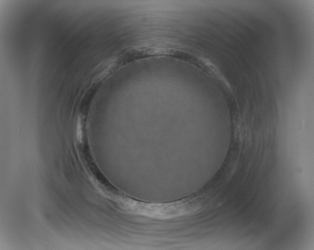 X0000082170026200701191319