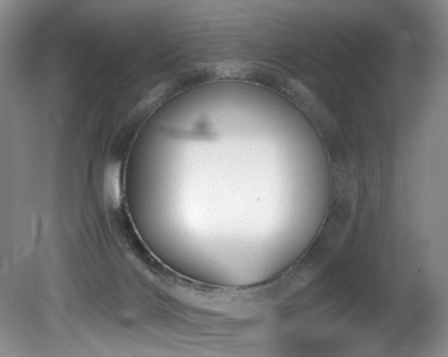 X0000082170028200701191319