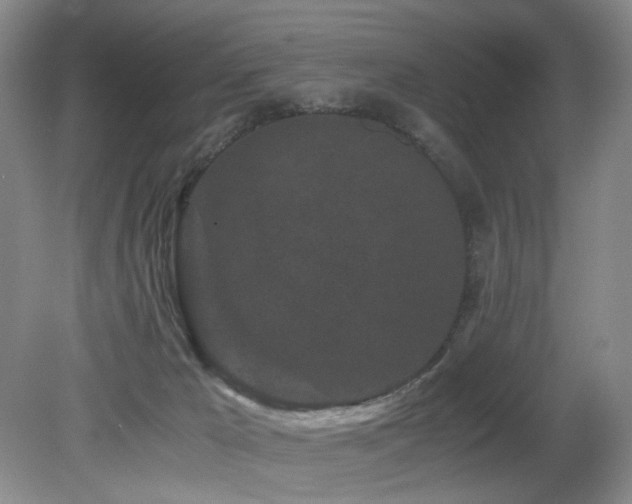 X0000082170029200701191319