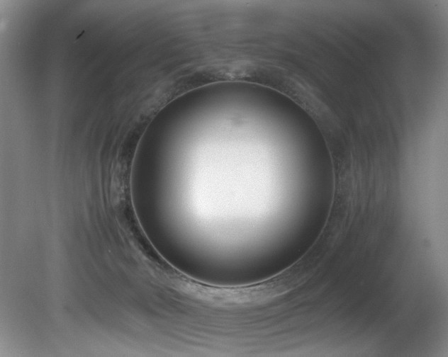 X0000082170030200701191319