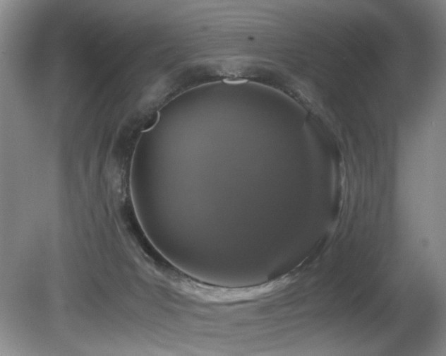 X0000082170031200701191319