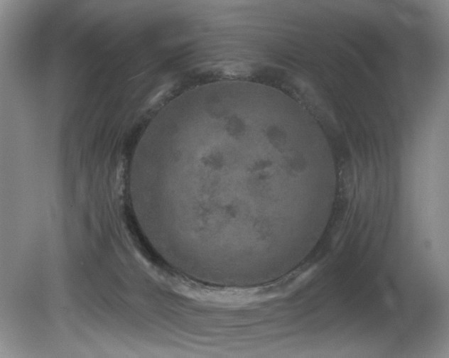 X0000082170032200701191319