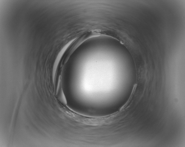 X0000082170033200701191319