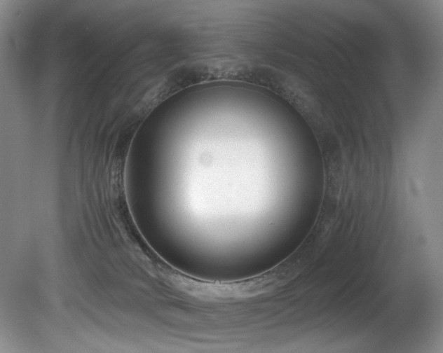 X0000082170034200701191319