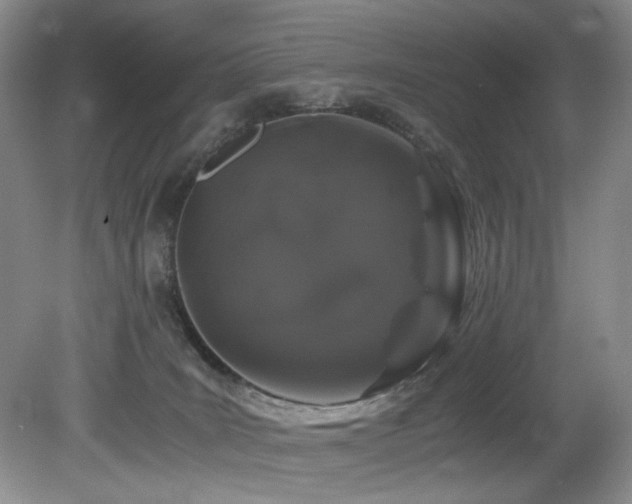 X0000082170035200701191319