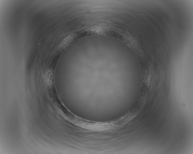 X0000082170036200701191319