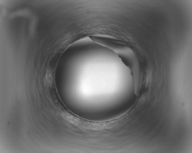 X0000082170037200701191319