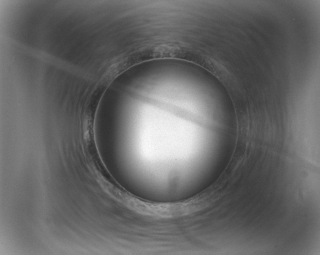 X0000082170038200701191319